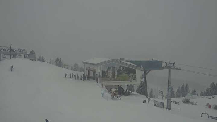 Archiv Foto Webcam Sannerslochgrat - Chaltebrunnen