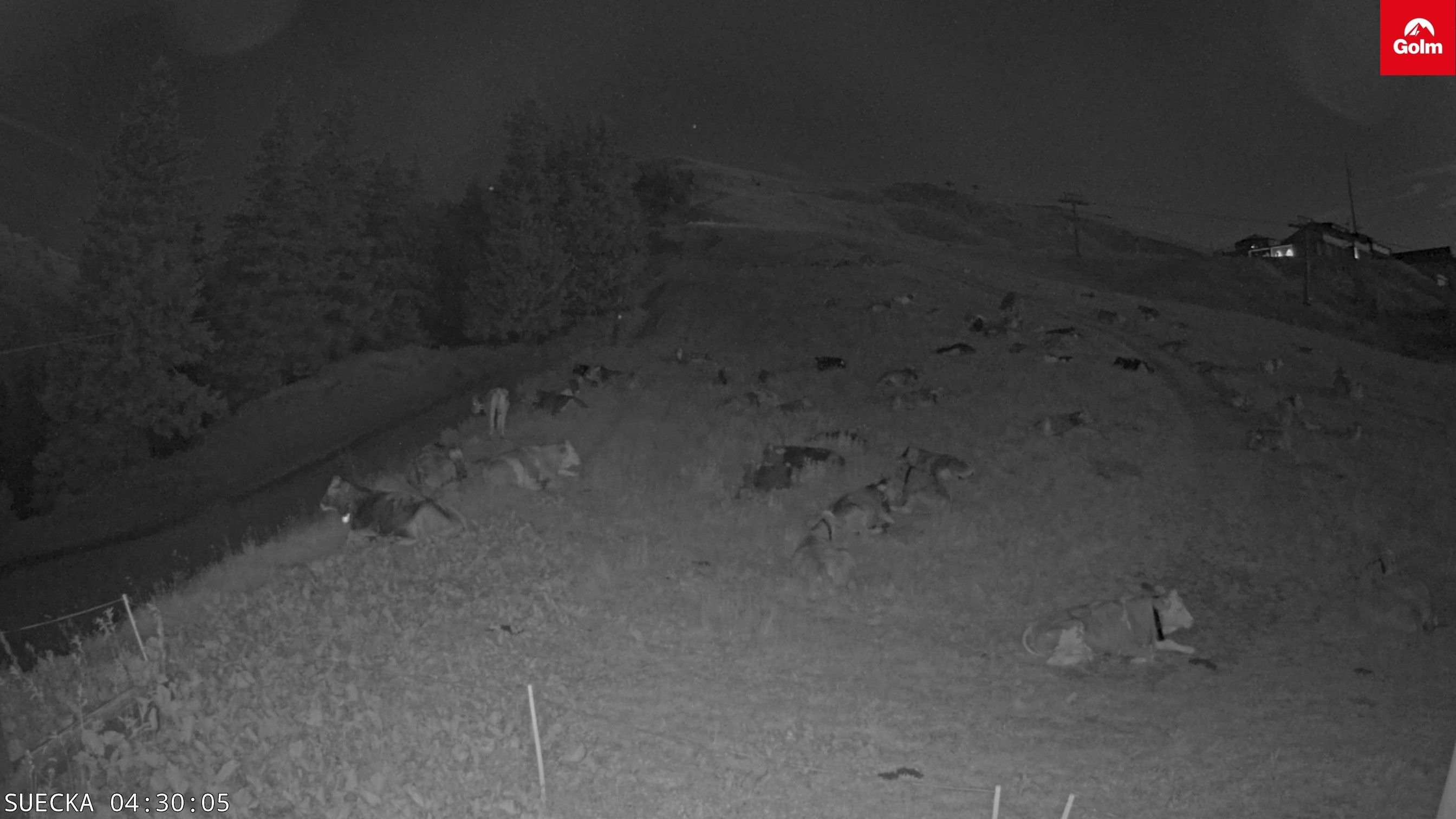 Archiv Foto Webcam Golm in Vorarlberg