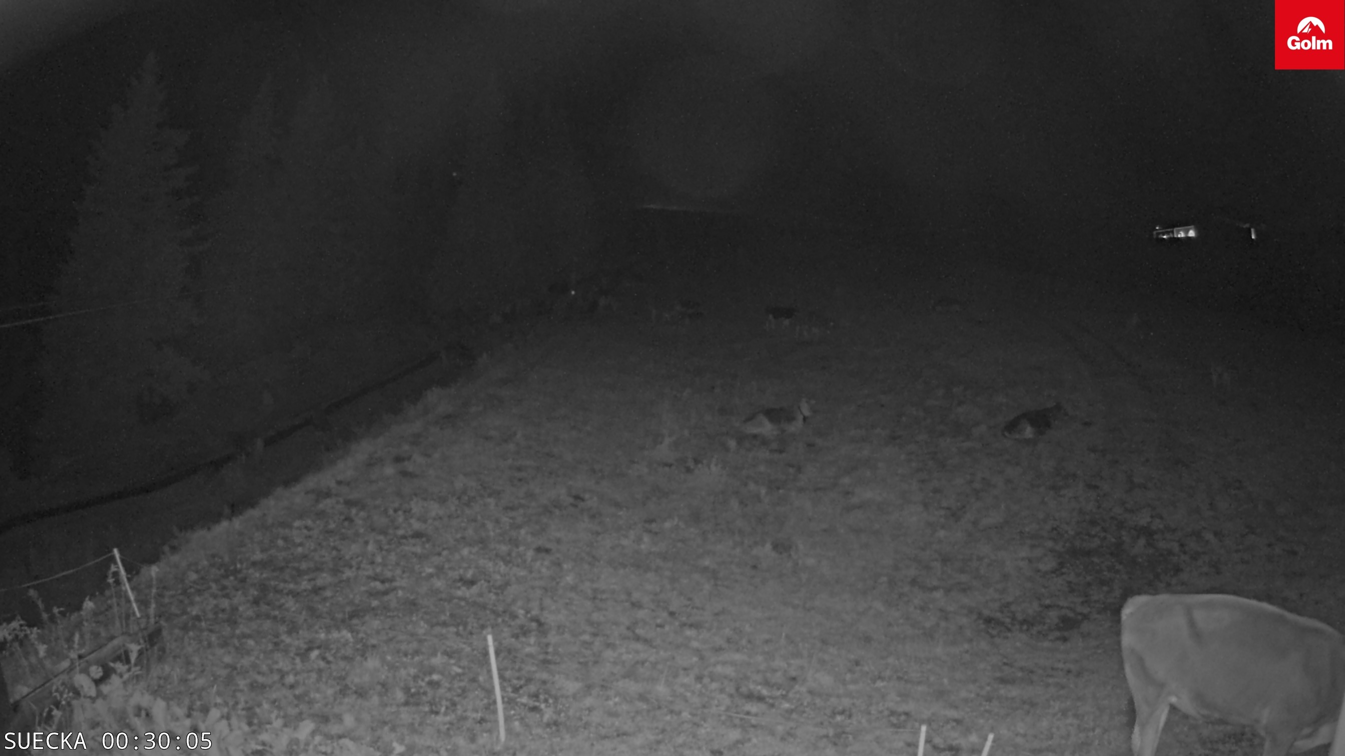 Archiv Foto Webcam Golm in Vorarlberg