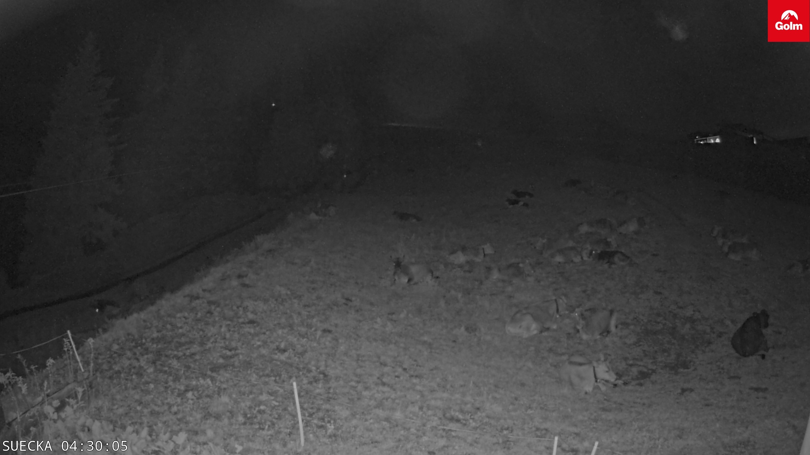 Archiv Foto Webcam Golm in Vorarlberg