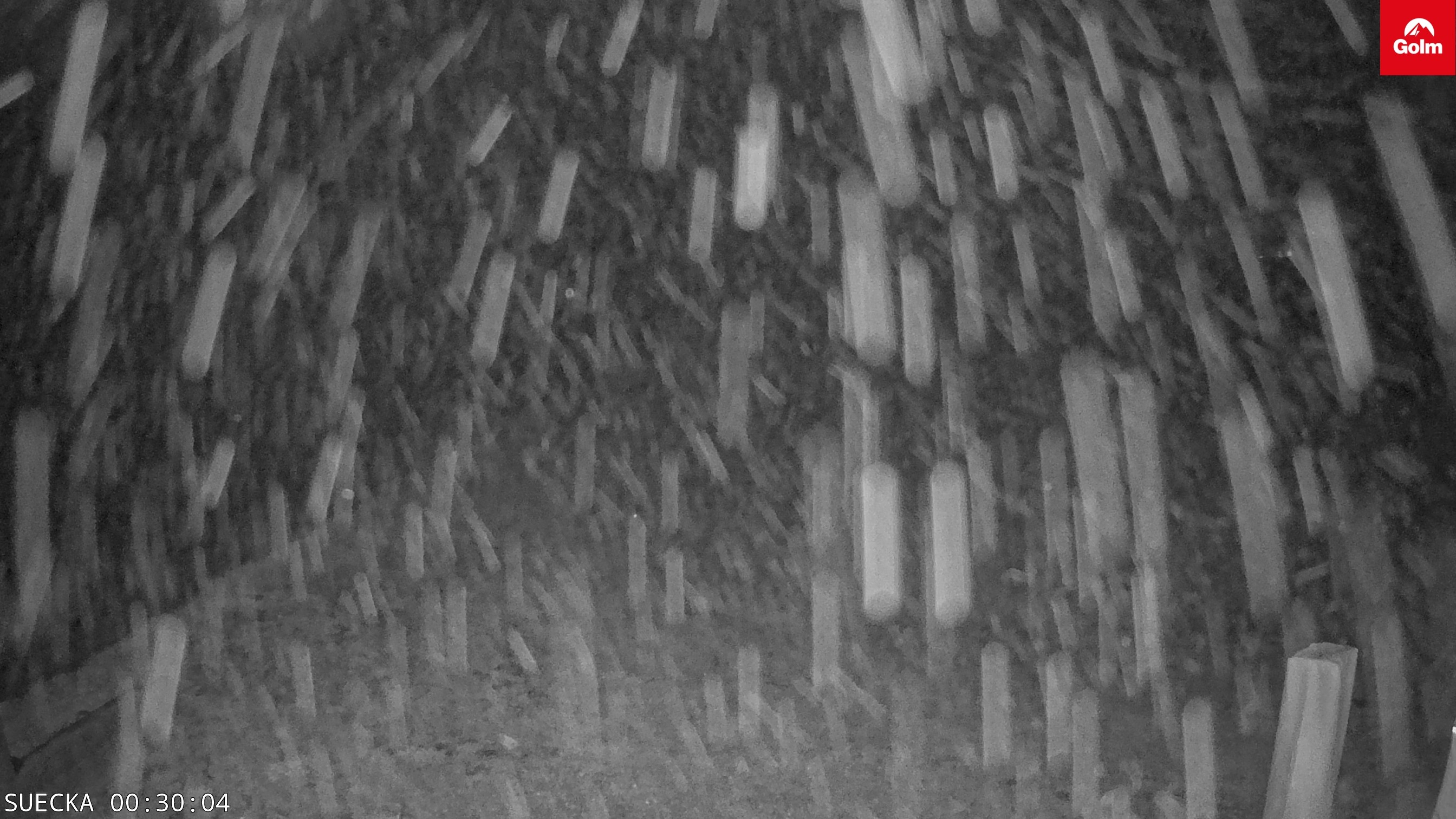 Archiv Foto Webcam Golm in Vorarlberg