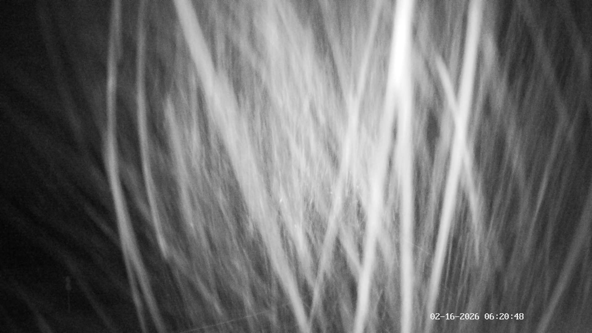 Archiv Foto Webcam Ausblick Mittelstation Hörnerbahn