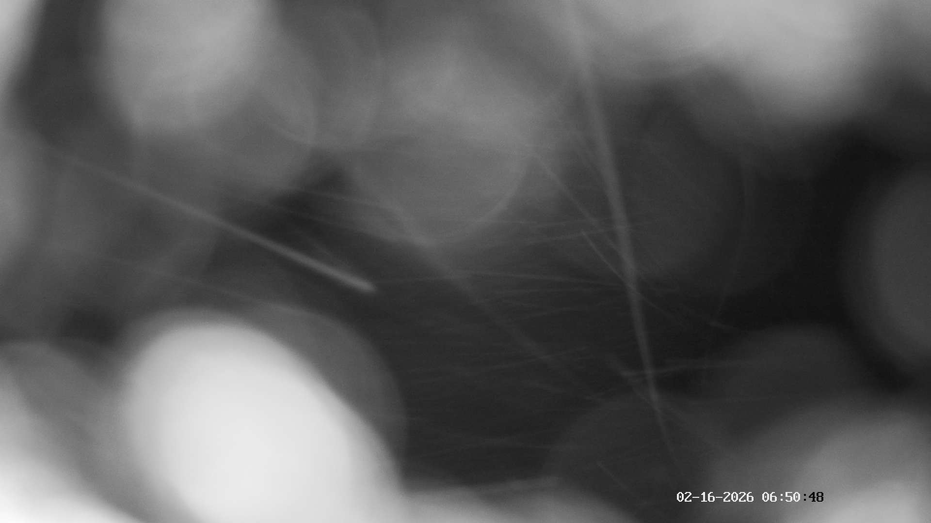 Archiv Foto Webcam Ausblick Mittelstation Hörnerbahn