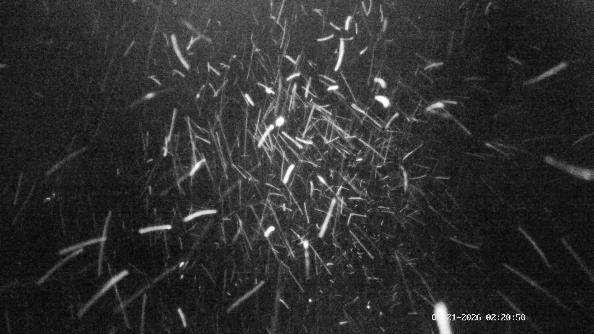 Archiv Foto Webcam Ausblick Mittelstation Hörnerbahn