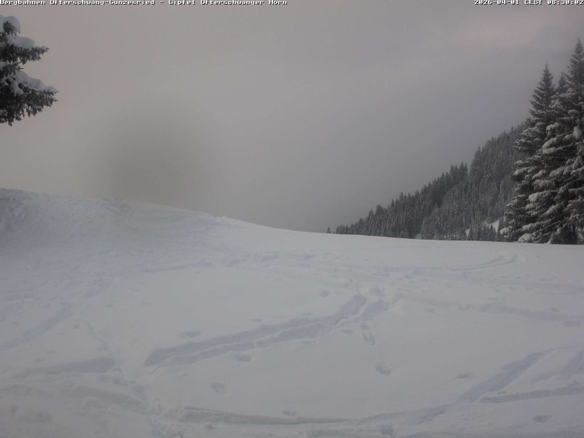 Archiv Foto Webcam Gipfel Ofterschwanger Horn, 1.406 m