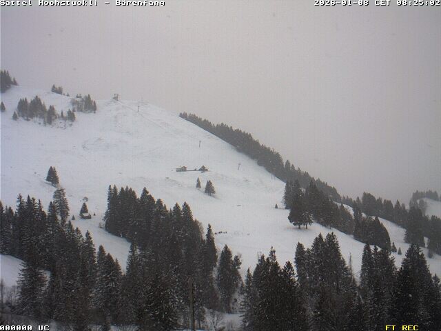 Archiv Foto Webcam Bärenfang, Hochstuckli Sattel