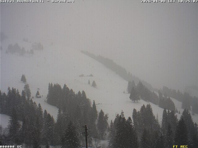 Archiv Foto Webcam Bärenfang, Hochstuckli Sattel