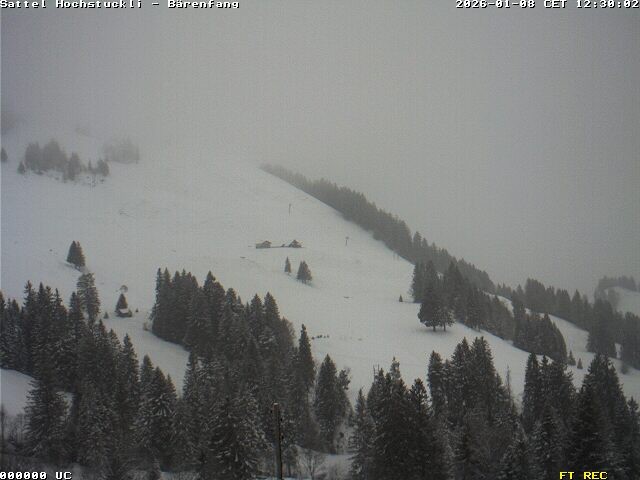 Archiv Foto Webcam Bärenfang, Hochstuckli Sattel