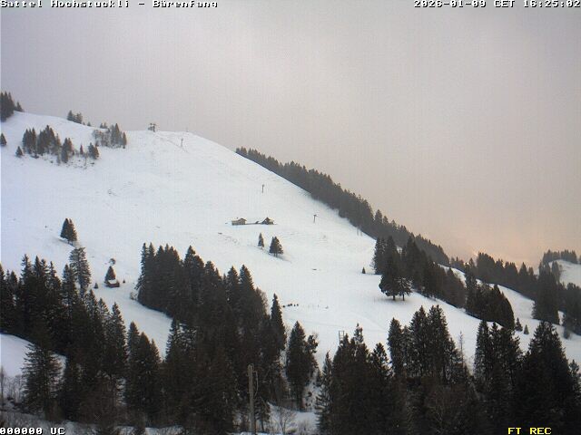 Archiv Foto Webcam Bärenfang, Hochstuckli Sattel