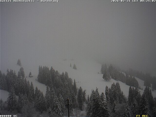 Archiv Foto Webcam Bärenfang, Hochstuckli Sattel