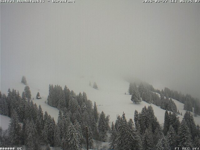 Archived image Webcam mountain restaurant Bärenfang, Hochstuckli Sattel