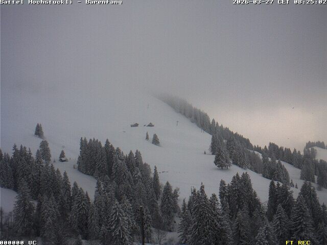 Archived image Webcam mountain restaurant Bärenfang, Hochstuckli Sattel
