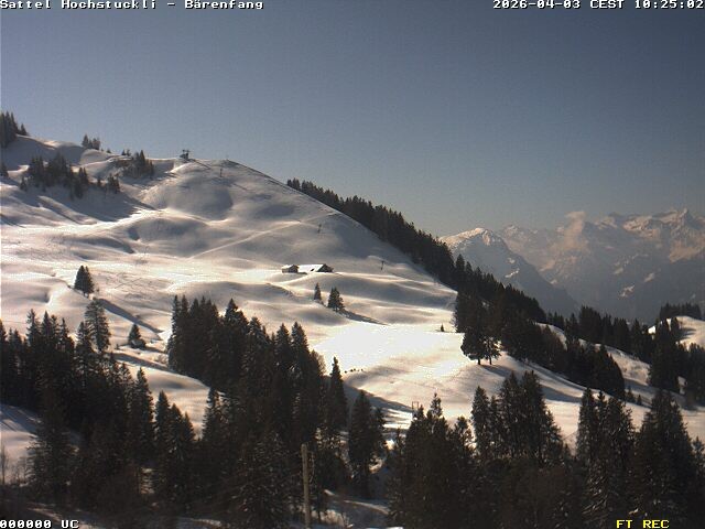 Archiv Foto Webcam Bärenfang, Hochstuckli Sattel