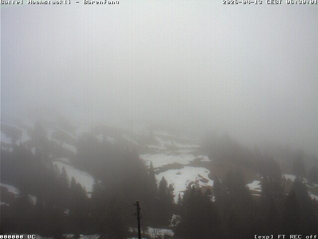 Archiv Foto Webcam Bärenfang, Hochstuckli Sattel