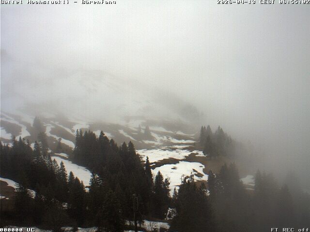 Archiv Foto Webcam Bärenfang, Hochstuckli Sattel