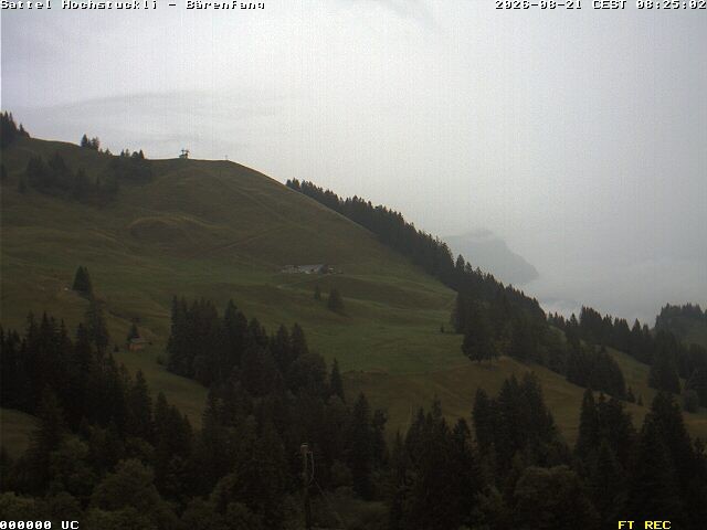 Archiv Foto Webcam Bärenfang, Hochstuckli Sattel