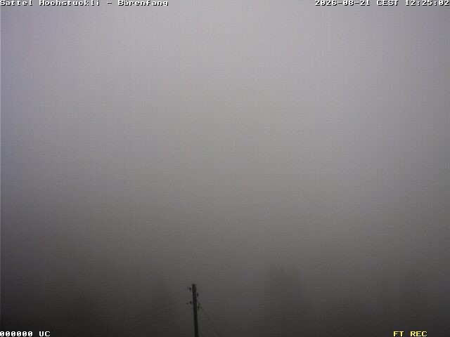 Archiv Foto Webcam Bärenfang, Hochstuckli Sattel