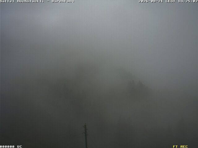 Archiv Foto Webcam Bärenfang, Hochstuckli Sattel