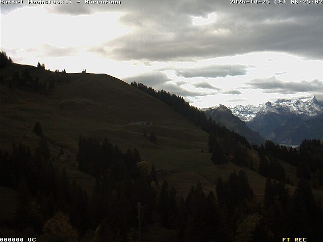 Archiv Foto Webcam Bärenfang, Hochstuckli Sattel