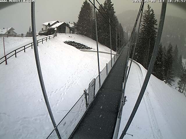 Archiv Foto Webcam Skywalk, Sattel