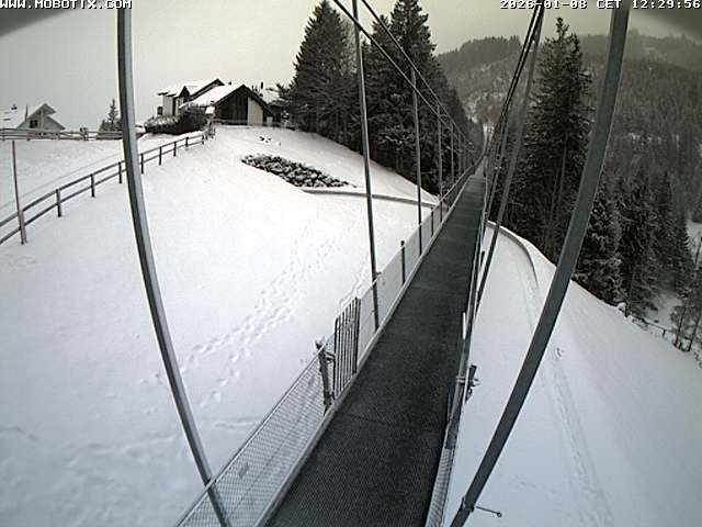 Archiv Foto Webcam Skywalk, Sattel