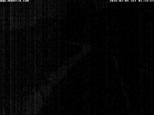 Archived image Webcam Sattel, Skywalk