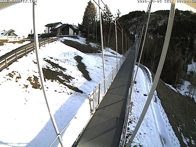 Archived image Webcam Sattel, Skywalk