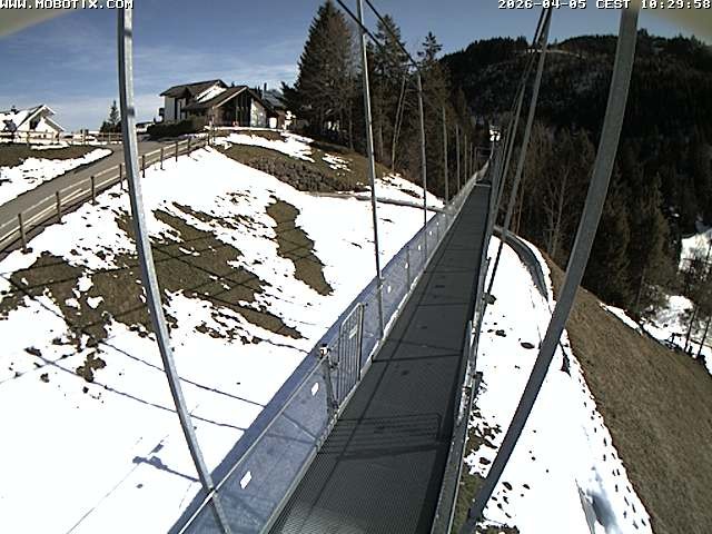 Archived image Webcam Sattel, Skywalk