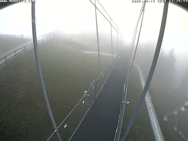 Archived image Webcam Sattel, Skywalk