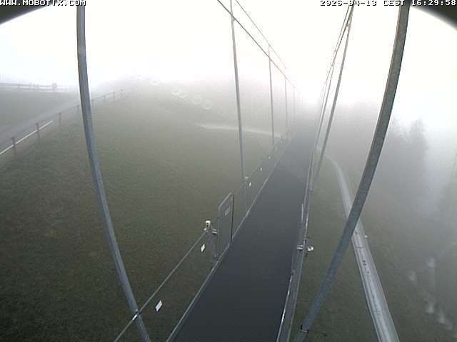 Archived image Webcam Sattel, Skywalk