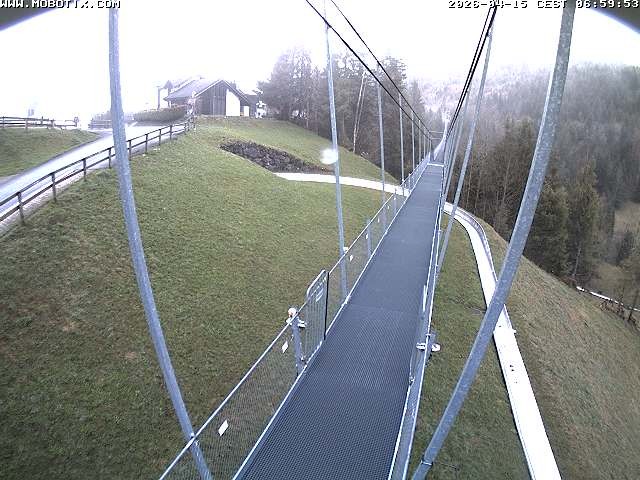 Archived image Webcam Sattel, Skywalk