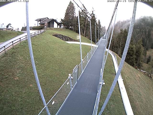 Archived image Webcam Sattel, Skywalk