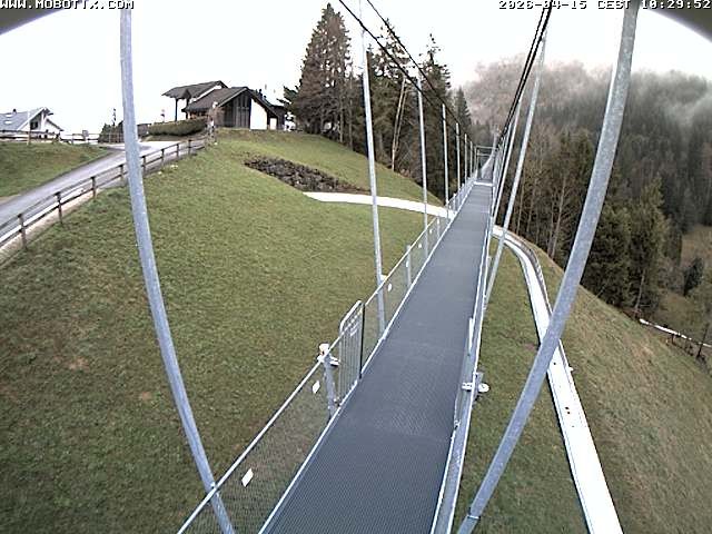 Archived image Webcam Sattel, Skywalk