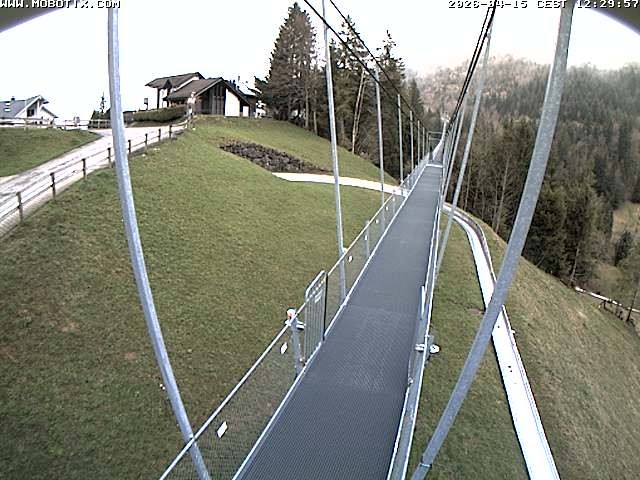 Archived image Webcam Sattel, Skywalk