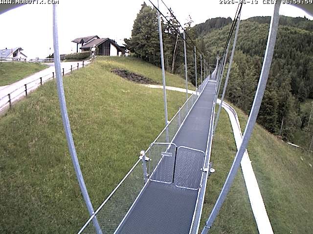 Archived image Webcam Sattel, Skywalk