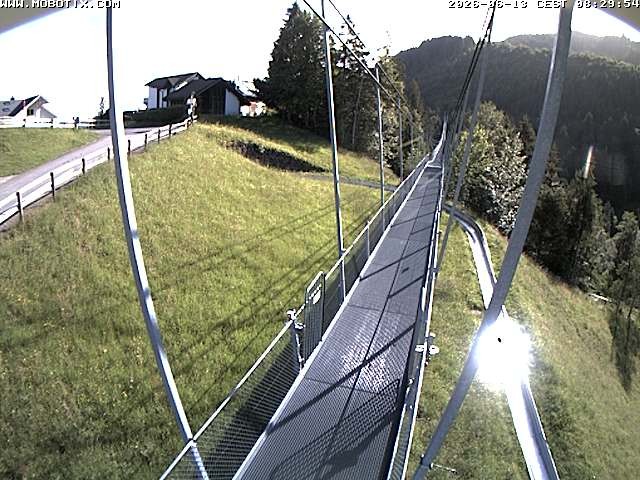 Archived image Webcam Sattel, Skywalk