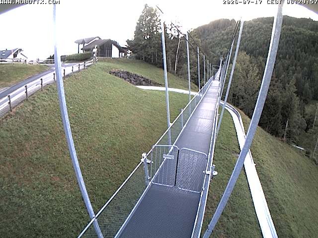 Archived image Webcam Sattel, Skywalk
