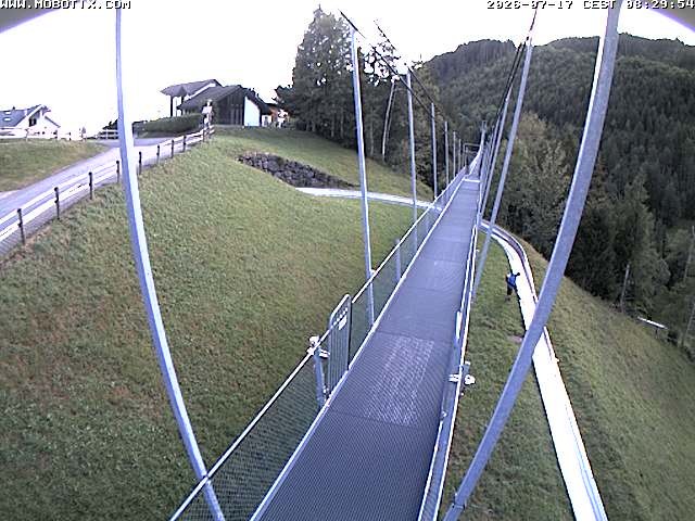 Archived image Webcam Sattel, Skywalk