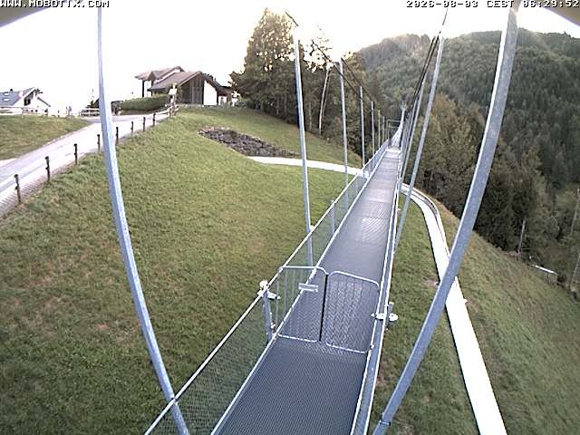 Archived image Webcam Sattel, Skywalk