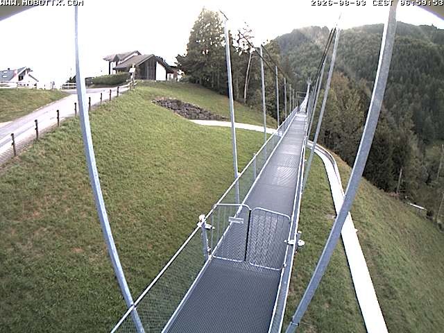 Archived image Webcam Sattel, Skywalk