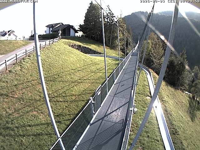 Archived image Webcam Sattel, Skywalk