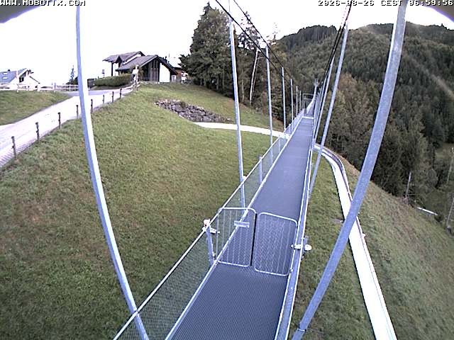 Archived image Webcam Sattel, Skywalk
