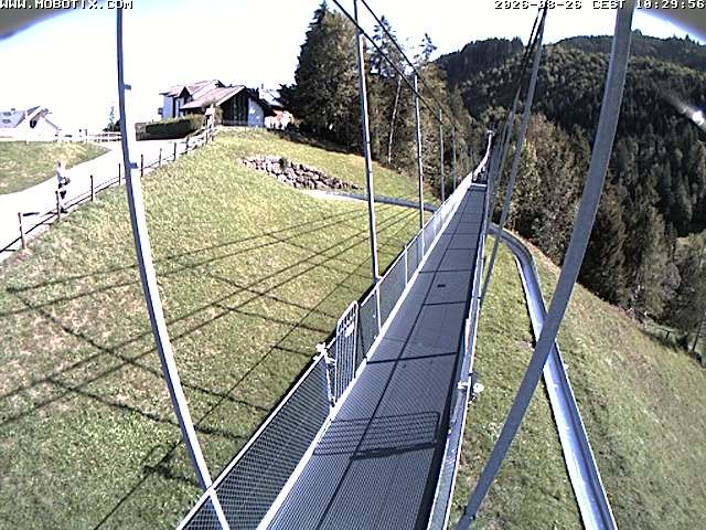 Archived image Webcam Sattel, Skywalk