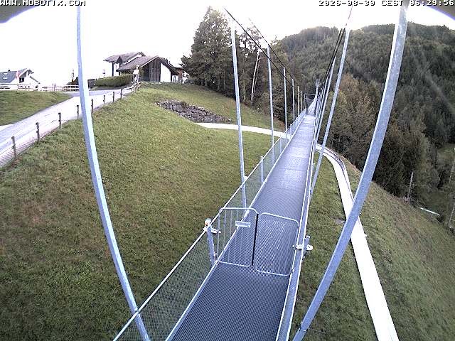 Archived image Webcam Sattel, Skywalk