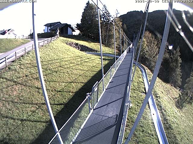 Archived image Webcam Sattel, Skywalk