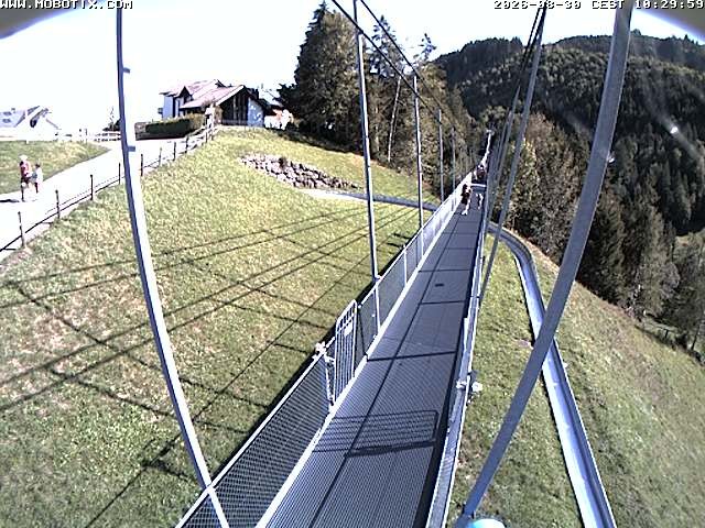 Archived image Webcam Sattel, Skywalk