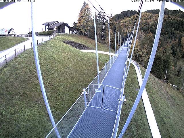 Archived image Webcam Sattel, Skywalk