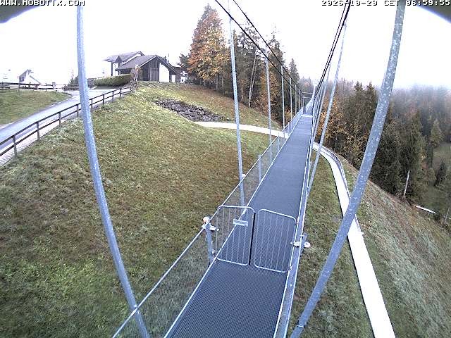 Archived image Webcam Sattel, Skywalk
