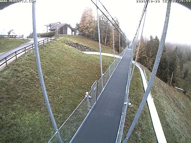 Archived image Webcam Sattel, Skywalk