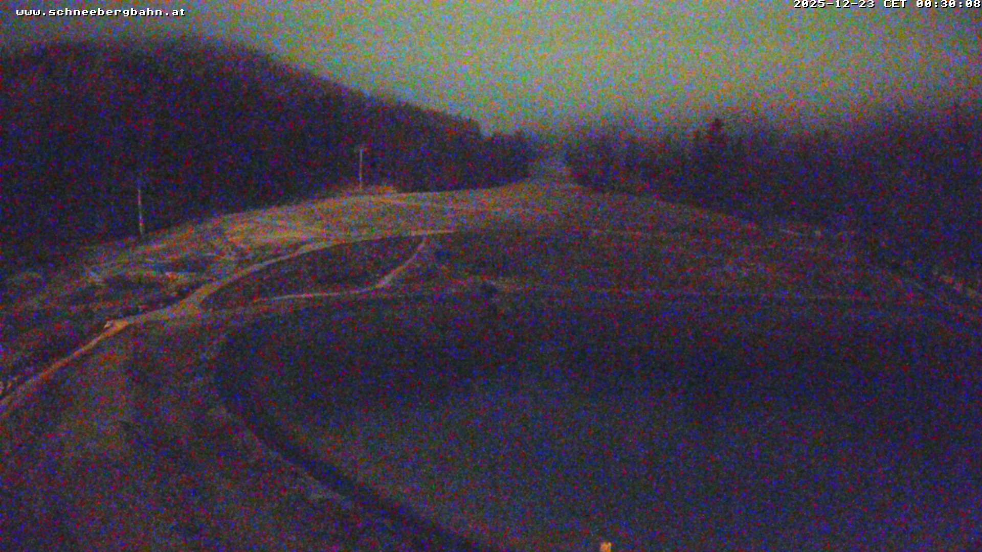 Archiv Foto Webcam Speichersee / Puchberg am Schneeberg